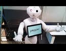 減量パンダ_１日１食生活 【052日目】