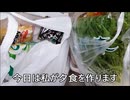 減量パンダ_１日１食生活 【053日目】