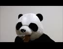 減量パンダ_１日１食生活 【061日目】