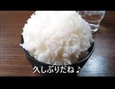減量パンダ_１日１食生活 【063日目】