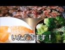 減量パンダ_１日１食生活 【064日目】