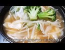 減量パンダ_１日１食生活 【066日目】