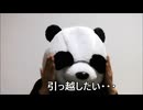 減量パンダ_１日１食生活 【080日目】