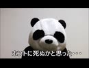 減量パンダ_１日１食生活 【084日目】