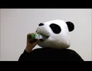 減量パンダ_１日１食生活 【093日目】