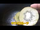 減量パンダ_１日１食生活 【097日目】