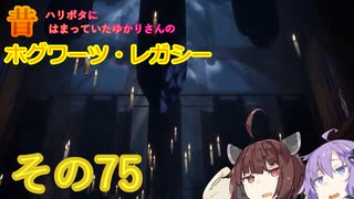 昔ハリポタにはまっていたゆかりさんのホグワーツレガシー実況!!!その75