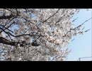 炎上パンダ_毎日暴言生活 【014日目】