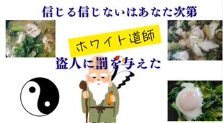 信じる信じないはあなた次第　盗人に罰を与えた
