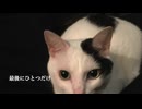 懺悔