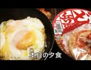 炎上パンダ_毎日暴言生活 【045日目】