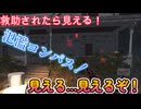 dbd　不規則氾濫強すぎ！