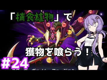 新米決闘者ゆかりが往く！＃24