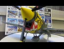 P-40 1/48 OHTAKI