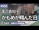 渡辺真知子「かもめが翔んだ日」をテナーサックスで演奏 楽譜 コード 付き演奏動画
