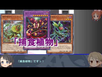 遊戯王テーマ歴史探訪　第５回「捕食植物」