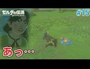 【ゼルダの伝説BotW】初めてのブレワイ！折れない心で未知の世界へ！#15【実況】