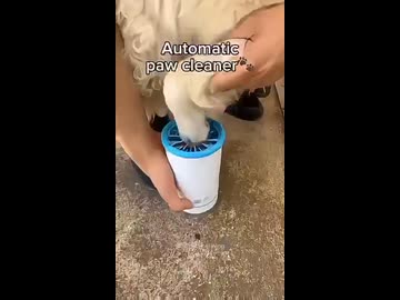 ホモと見る犬の足を洗う用カップ