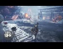 【MHW_IceBorne】#44