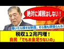現役世代に希望を！玉木氏が語る『178万円の壁』の必要性。税収12兆円増の裏側に迫る！