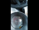 マールボロの動画.mp4 (1080p)