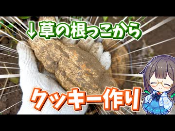 草の根っこからデンプン取ってクッキー作り！【カラスウリ】