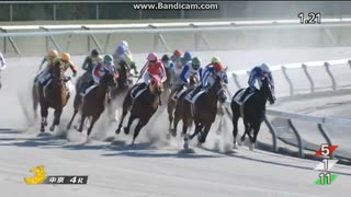 ベルベルコンパス　3歳1勝クラス