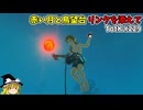 【ゆっくり実況】初めてのティアーズオブザキングダム！ part229【ティアーズオブザキングダム】