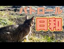 久々に晴れました