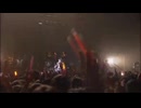ray of sunshine (Live) /新谷良子