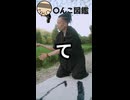 週刊〇んこ図鑑　【て】