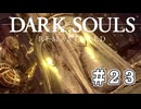 【DARK SOULS REMASTERED】23歳、初めてのダークソウル。Part23【実況】