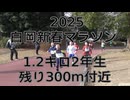 2025・白岡新春マラソン（1.２キロの部2年生）残り300m付近