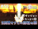 #55【テイルズオブヴェスペリア】２周目の旅！サブクエスト回収する！！【TALES OF VESPERIA】【実況】