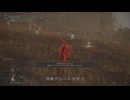 エルデンリング RMDライジングマストダイ侵入Part 14
