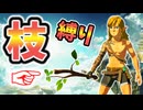 【失踪予定】全裸木の枝だけでハイラルは救えるか～空島練習編～【ティアキン TotK】裏技 バグ 検証 ゆっくり実況 glitch
