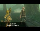 【ブレワイ】依頼を受けて、カリーユ先生の調査を邪魔してみた【ドリカラ】【ボイスピ実況,ゼルダの伝説,ブレスオブザワイルド,BotW,バグ,検証 】