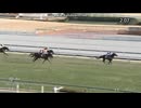 2025 日経新春杯(GⅡ)　ロードデルレイ