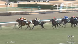 2025 京成杯 (GⅢ)　ニシノエージェント
