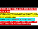 東京都水道局の対労働組合の労務管理の是正を求める意見具申 シリーズ8 川西正彦　あらためて要点の説明　全水道東水労の争議行為・大衆行動等の法性の概略補足　平成15年ながら条例改正の影響等