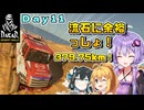 【DakarDesertRally】マキモカゆかりのDakar Rally 2020 挑戦記  Day11【VOICEROID･VOICEPEAK実況】