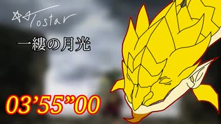 【MHP2G】一縷の月光 03分55秒