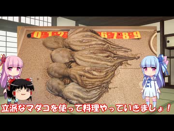 琴葉姉妹と行く釣行記録（暇潰し編part49）