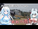 2025年1月19日　農作業日誌P1245　竹やぶの伐採に入ろうと思ったら、お昼ごろには雨が降った