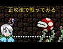 正攻法で戦った記憶が薄いボスに大苦戦！？〈ヨッシーアイランド〉part7