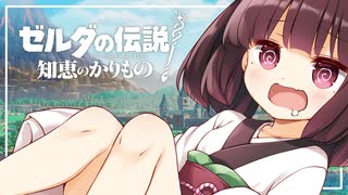 【ゼルダの伝説 知恵のかりもの】パチモンのカリモン 14借り目【東北きりたん実況プレイ】
