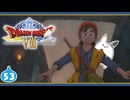 【DQ8＊実況】これが現状最後の初見で大冒険！第五十三章