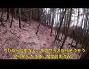 (ちょっとした事案発生中）変態忍者の、有害鳥獣駆除従事活動記・その３１６