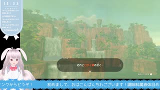 【生放送アーカイブ】祠を探して三千里したティアキン生放送57回目【7/8】