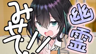 幽霊を見てみたい！【ホラー劇場?】